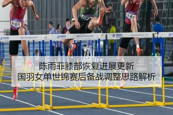 陈雨菲膝部恢复进展更新 国羽女单世锦赛后备战调整思路解析
